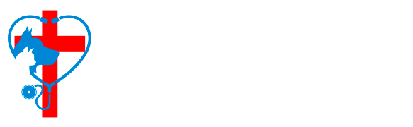 All Creatures Family Vet Hospital